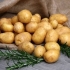 Latona potato